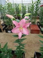 [5668 VZ W09 0553-01 No01.JPG]